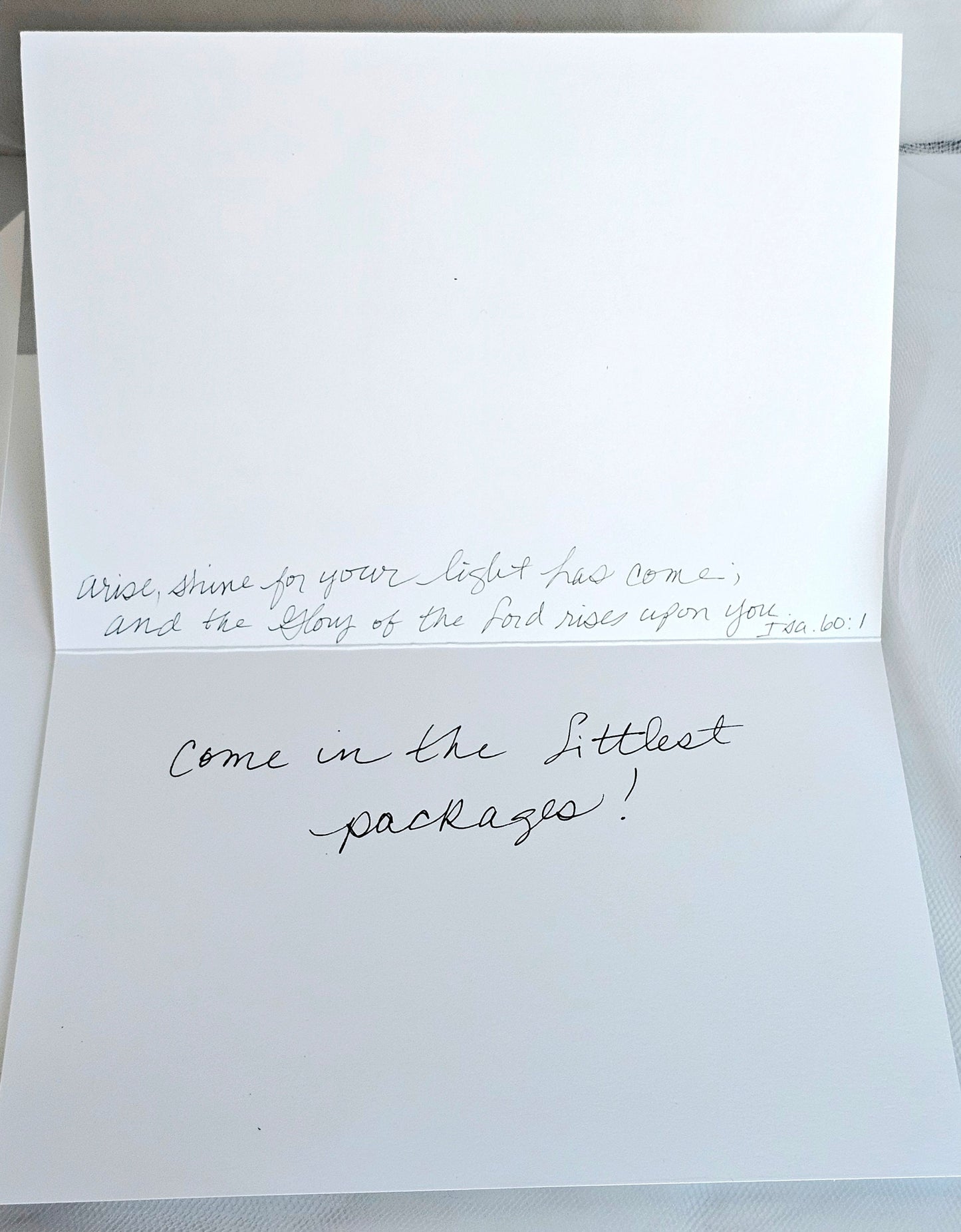 Shih Tzu Pups Watercolor Greeting Card: Christian Art, 'Biggest Blessings' (5x7)