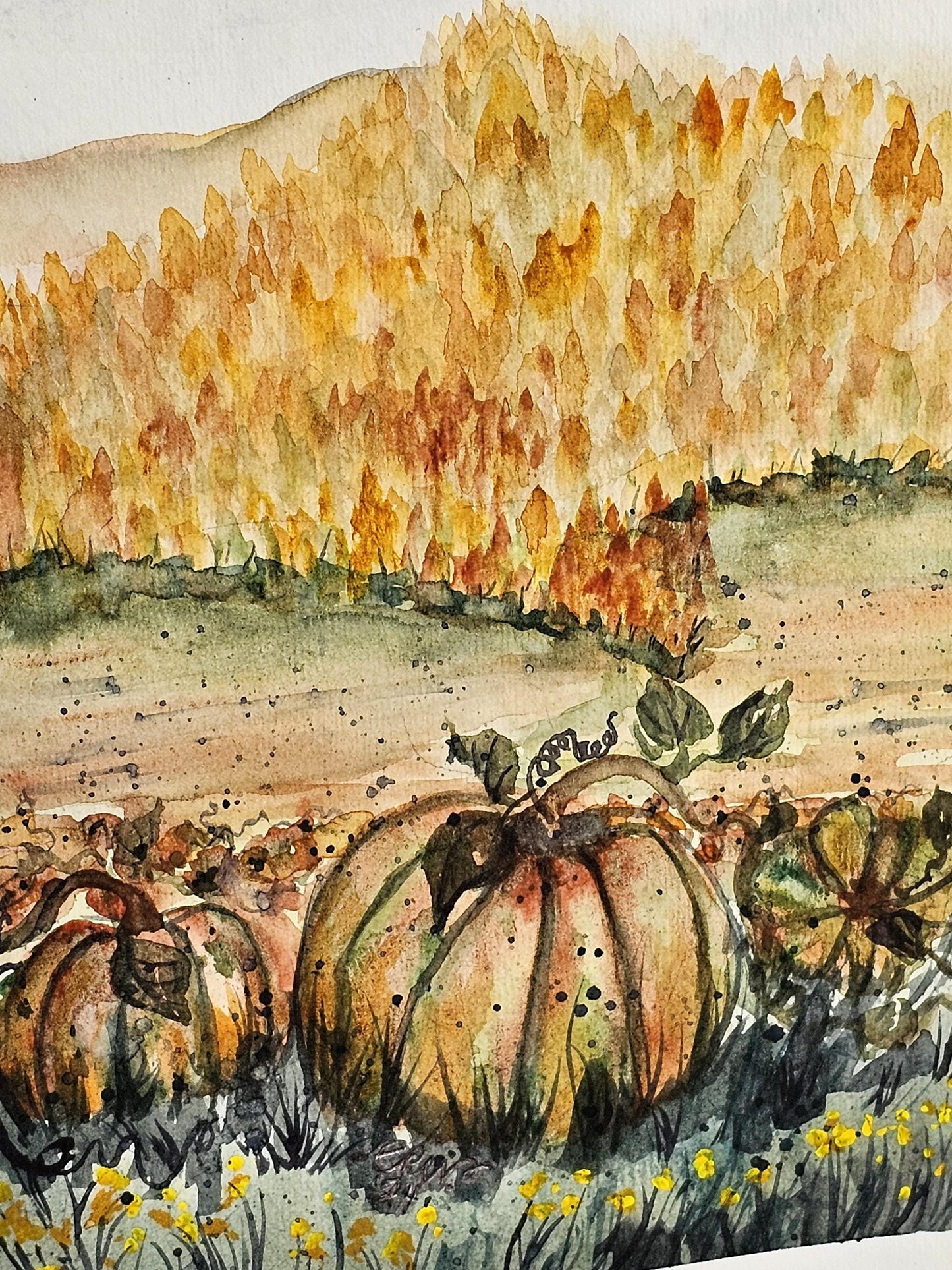Original Watercolor Art Painting 'Pumpkins in a Field' Unframed 9x6 Autumn Fall Theme