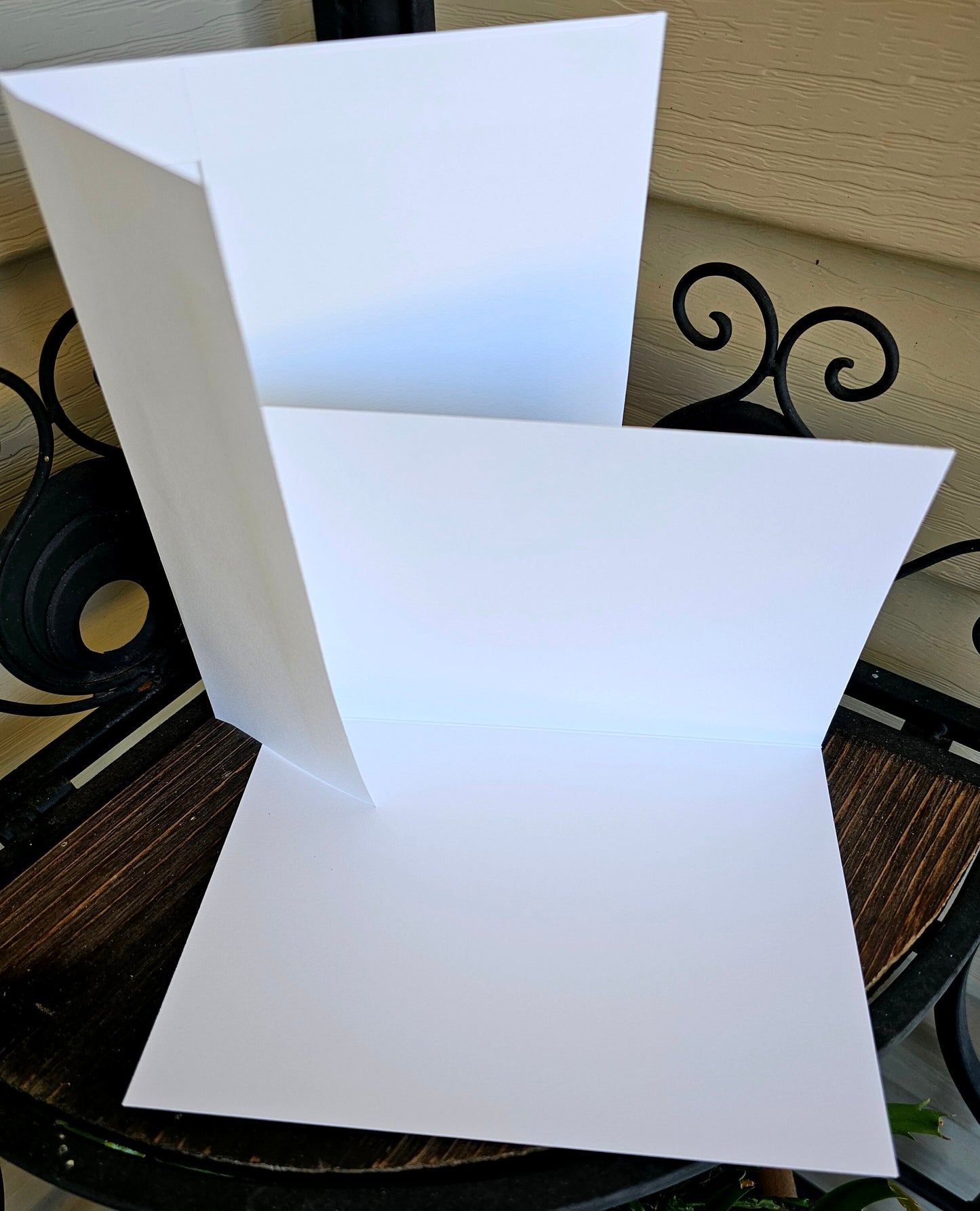 Watercolor Horses on Beach Art Print Greeting Card: Christian Encouragement (5x7)