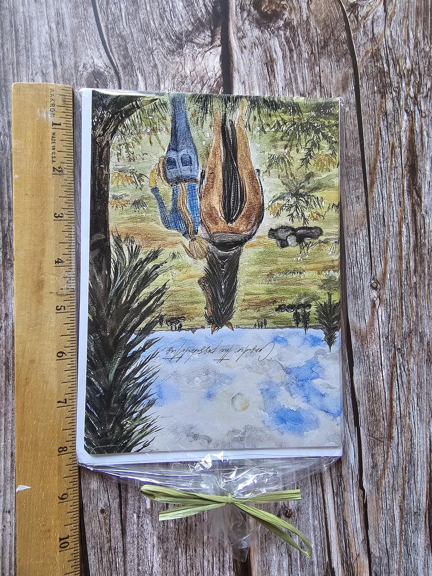 Original Watercolor Print Set of 5 NoteCards'Consider The Possibilities' Blank Other Side 5.5x7.5 With White Envelope